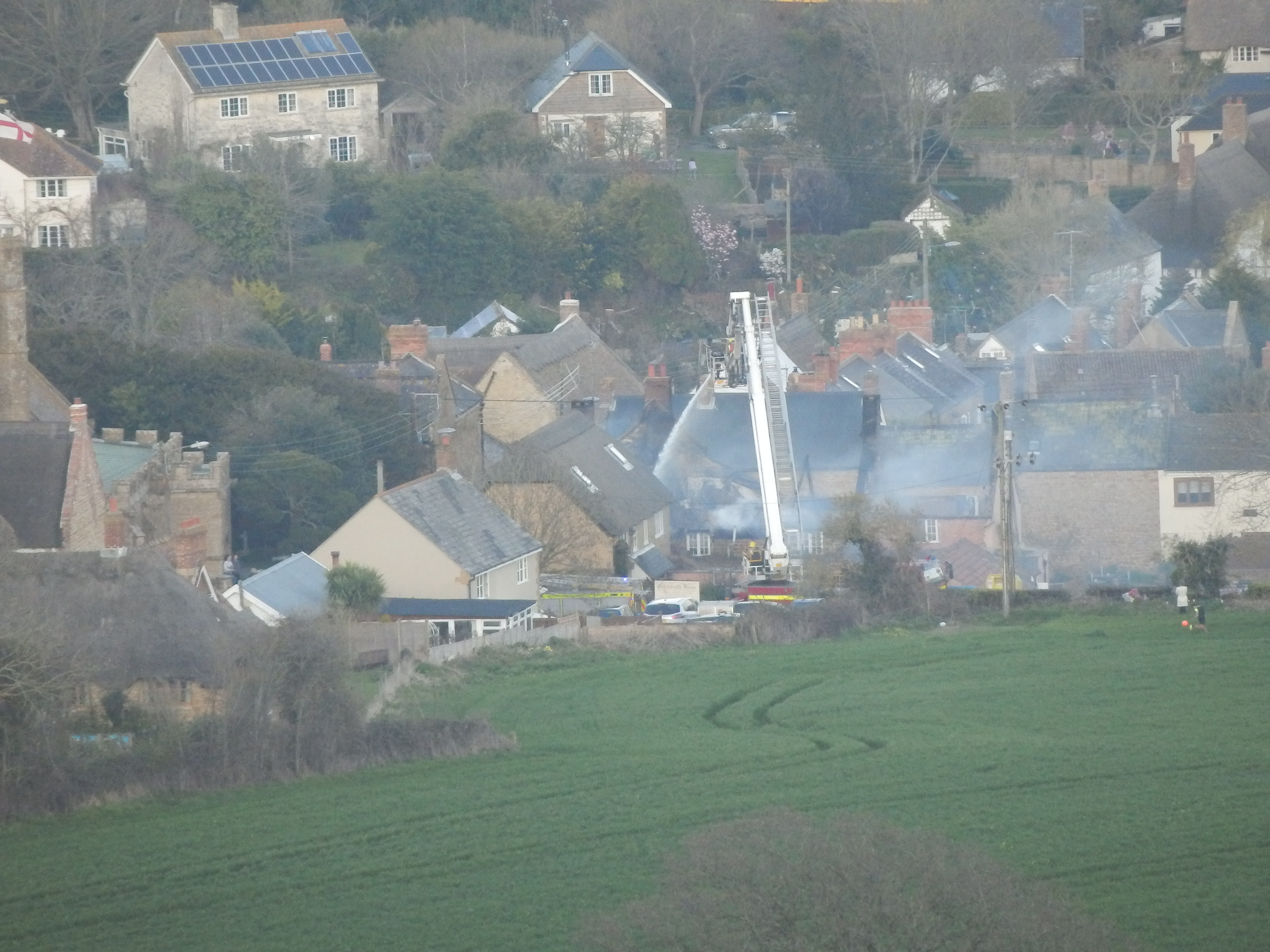 OLYMPUS DIGITAL CAMERA